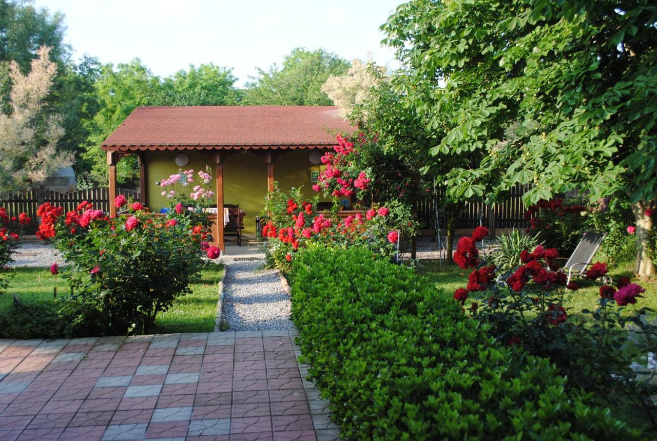 Vila Delta Travel - Mila 23 มิลา โดโอเซชิ ชิ เตร ภายนอก รูปภาพ